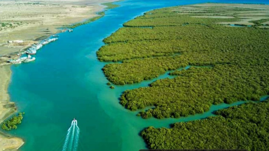 جنگلهای زیبای حرا